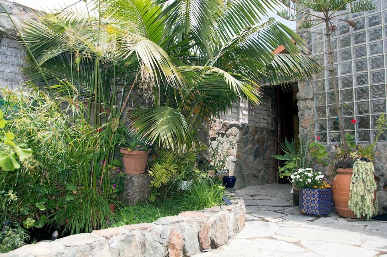 라스팔마스 Casa El Drago-Tafira Baja 아파트 외부 사진